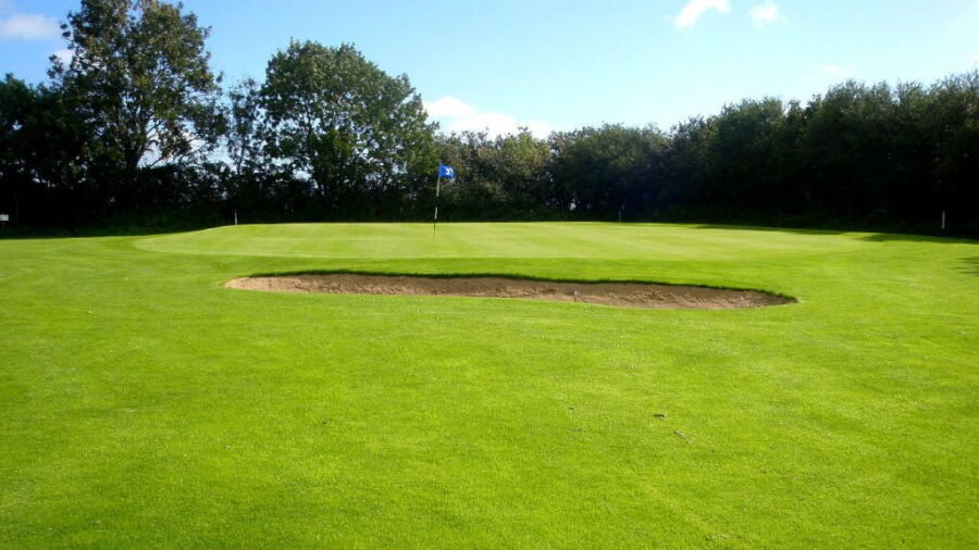 Stenerberg GC: #5