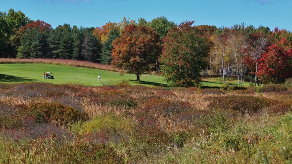 Tullymore Golf Club - hole 6