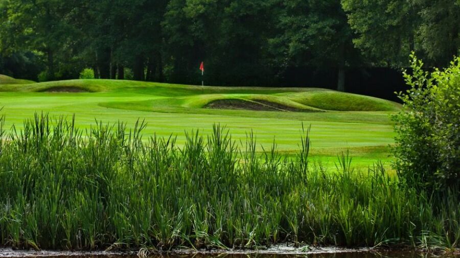 Old Thorns Manor Hotel, Golf & Country Estate: #11