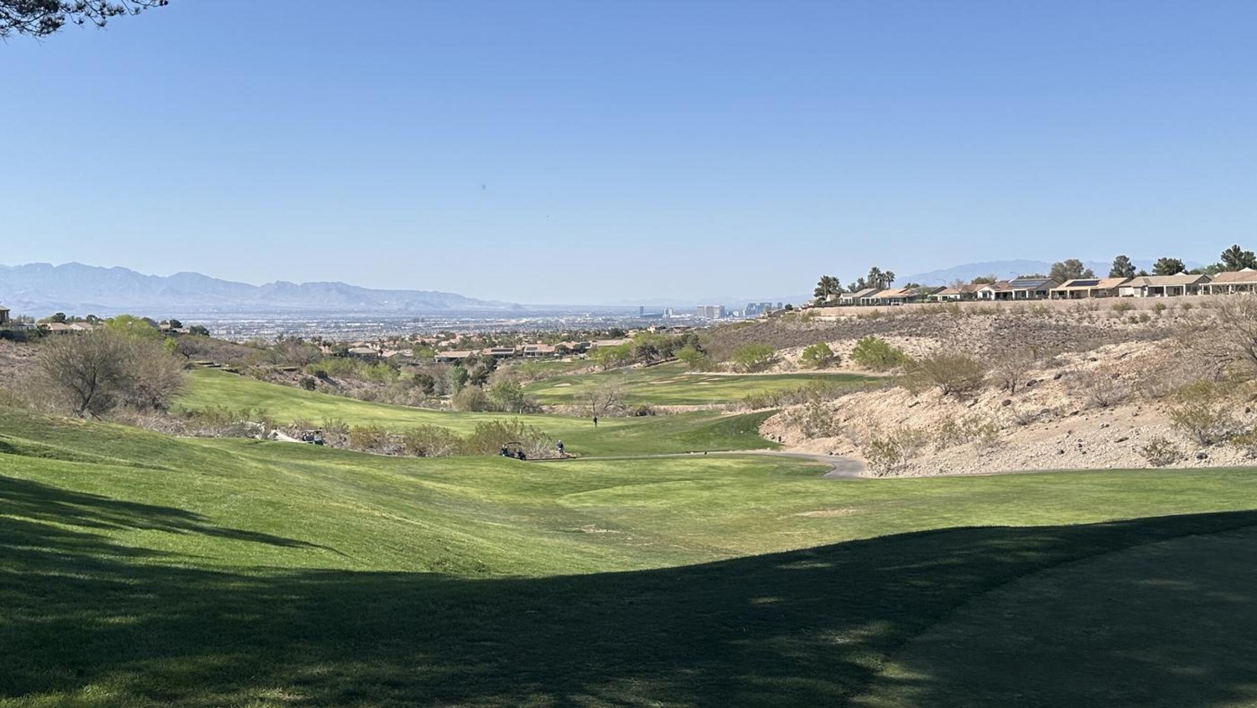 (Photo submitted by u314161682125 on 04/13/2025)