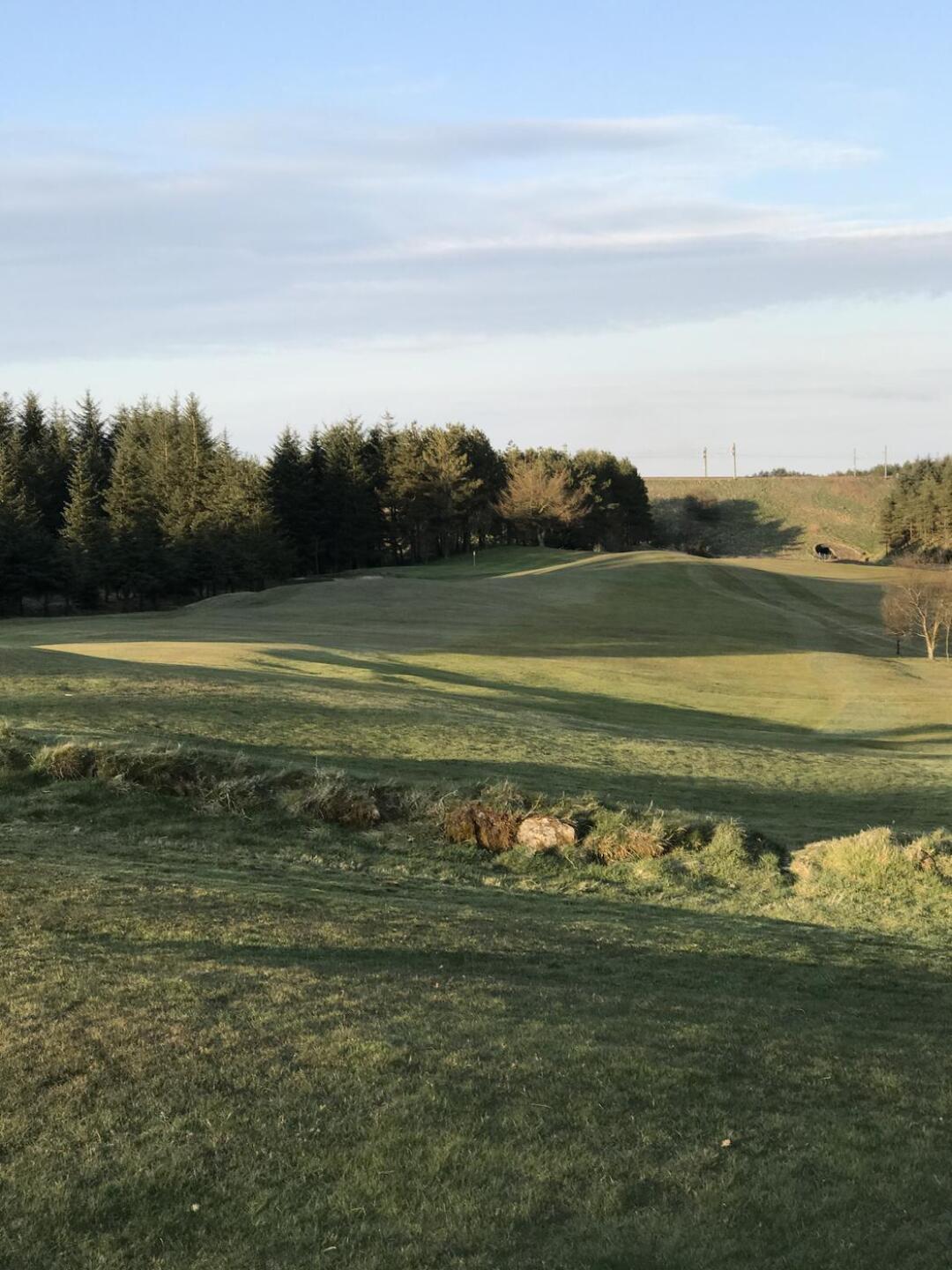 (Photo submitted by u314160722422 on 04/18/2021)