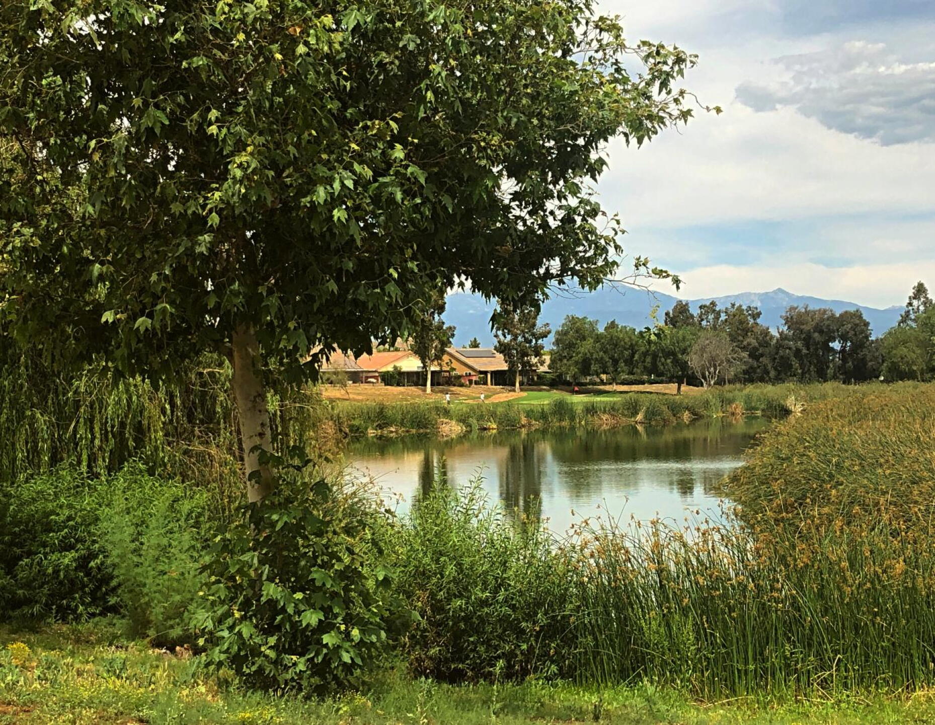 Irrigation pond between the eighth and seventeenth holes. (Photo submitted by u6094862 on 06/12/2019)