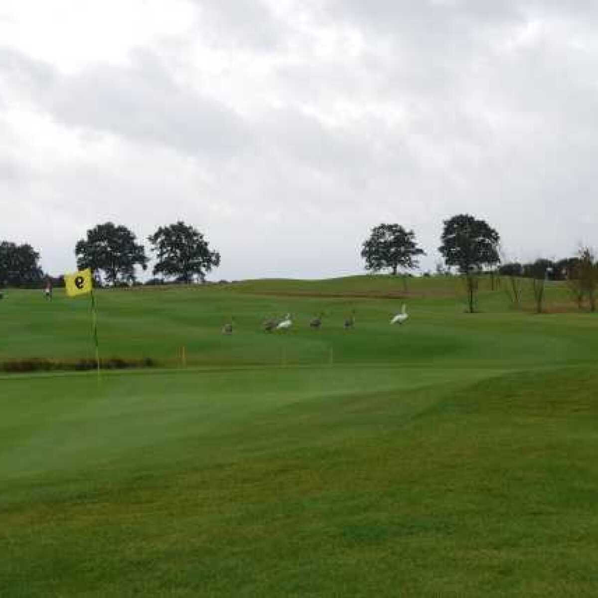 Siek/Ahrensburg Golf Club B Course in Siek, SchleswigHolstein