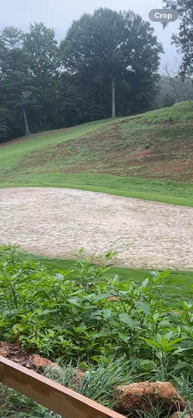 (Photo submitted by Zr3cRNACNjp66QtRePNN on 08/02/2025)