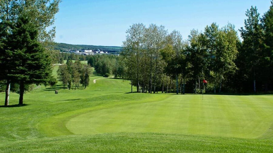 Grand Falls GC: #14
