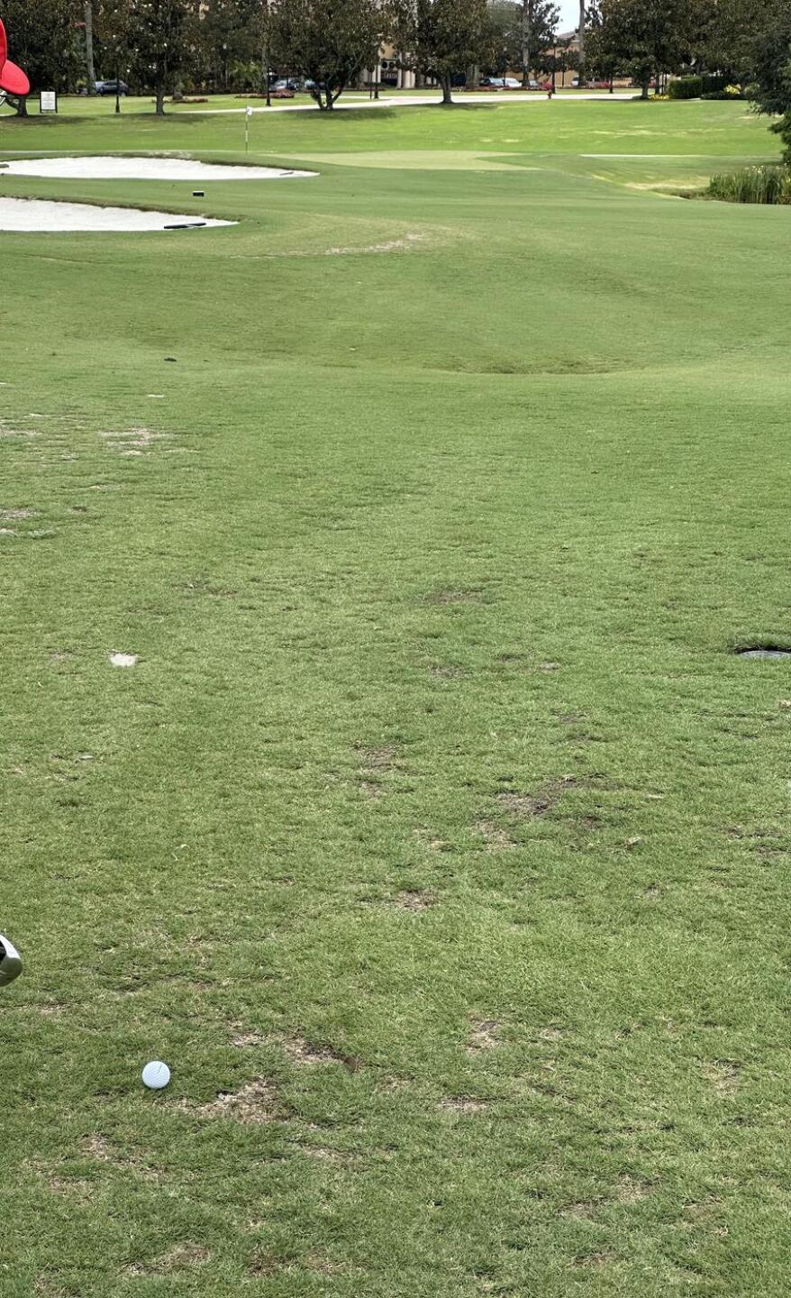 (Photo submitted by u314163808951 on 06/17/2023)