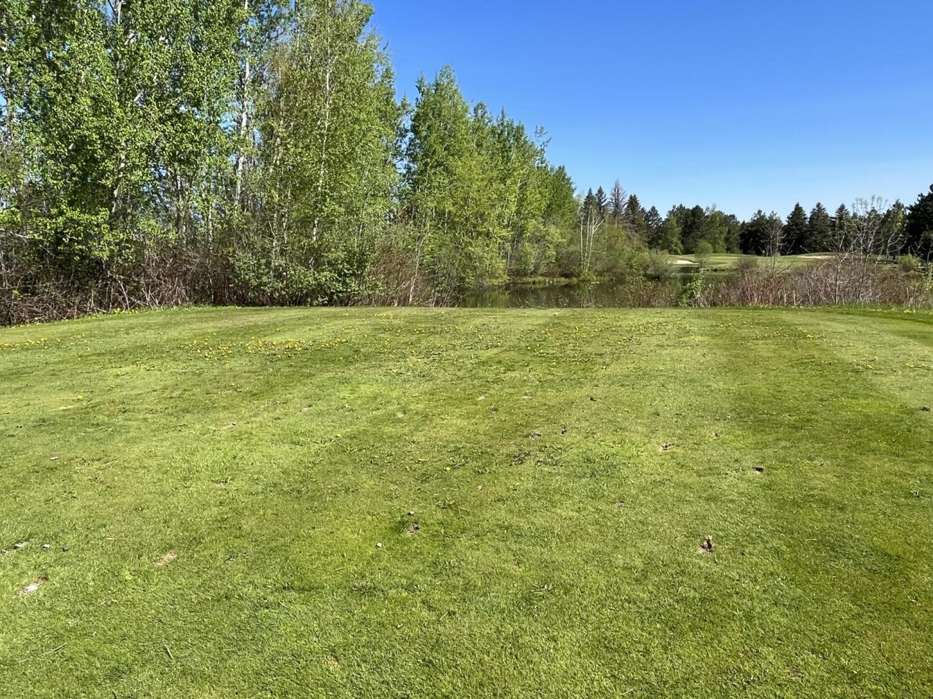 Tee box (Photo submitted by u314159424023 on 05/15/2023)