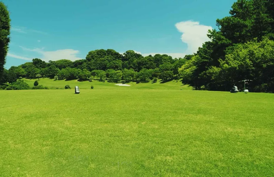 Matsuyama Seaside CC: #4