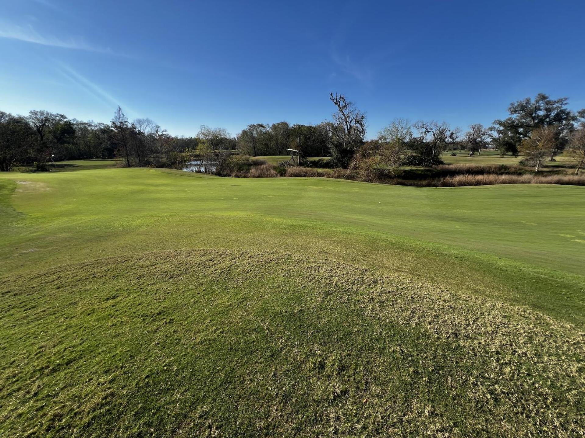 (Photo submitted by MilkyBeatz on 12/30/2024)