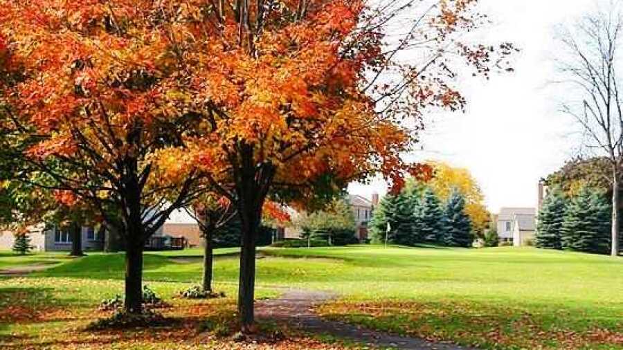 Bushwood GC