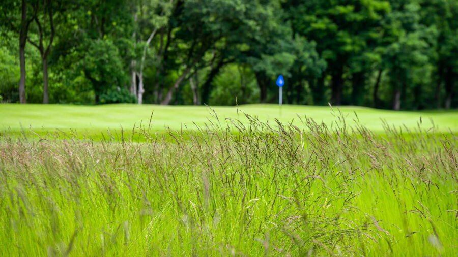 Trentham Park GC
