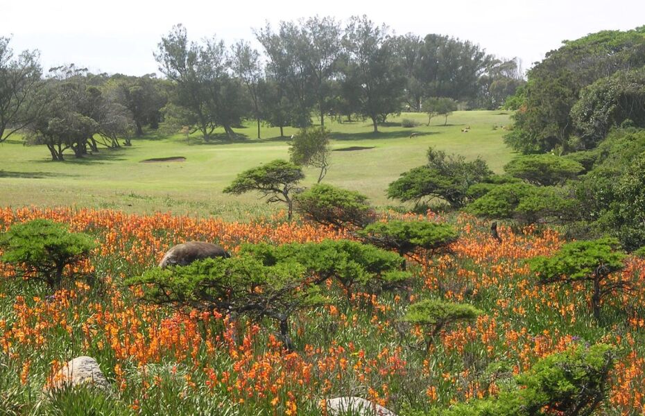 West Bank Golf Club in East London, Buffalo City, South Africa GolfPass