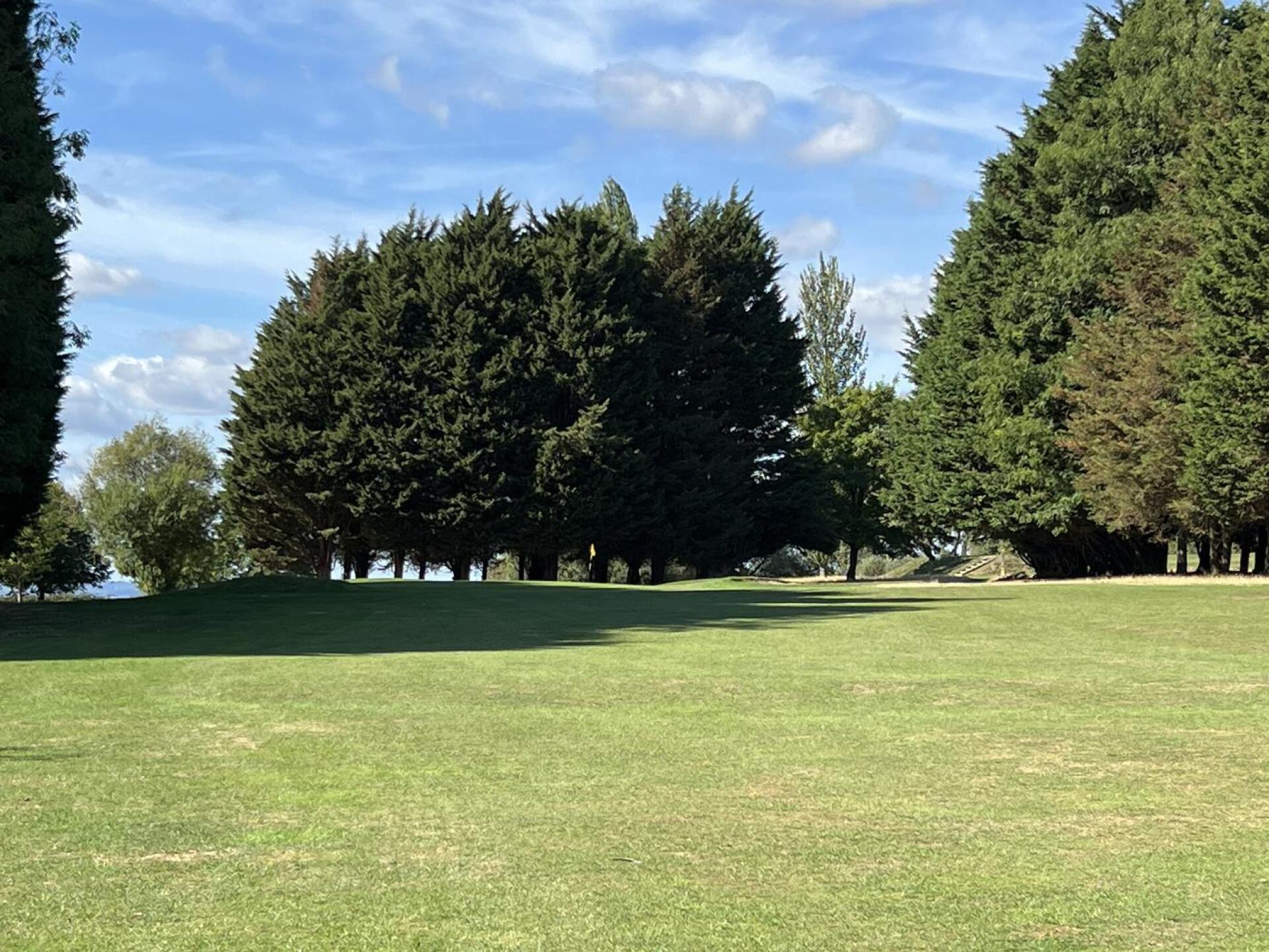 (Photo submitted by RGEFA59BDEFC3EE6E78F on 09/19/2022)