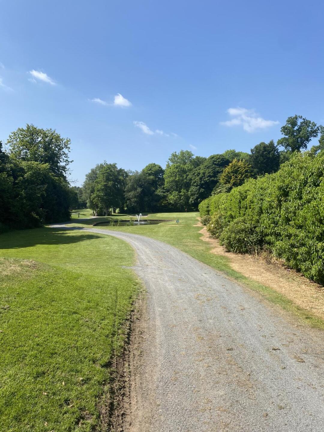 (Photo submitted by u314164008465 on 06/02/2023)