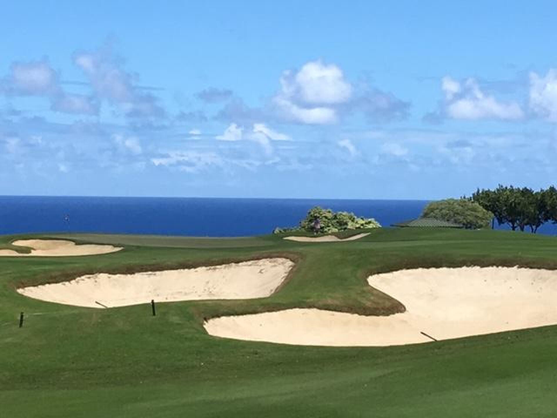 (Photo submitted by LICC on 09/08/2017)