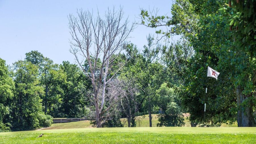 Iron Creek CC: #15