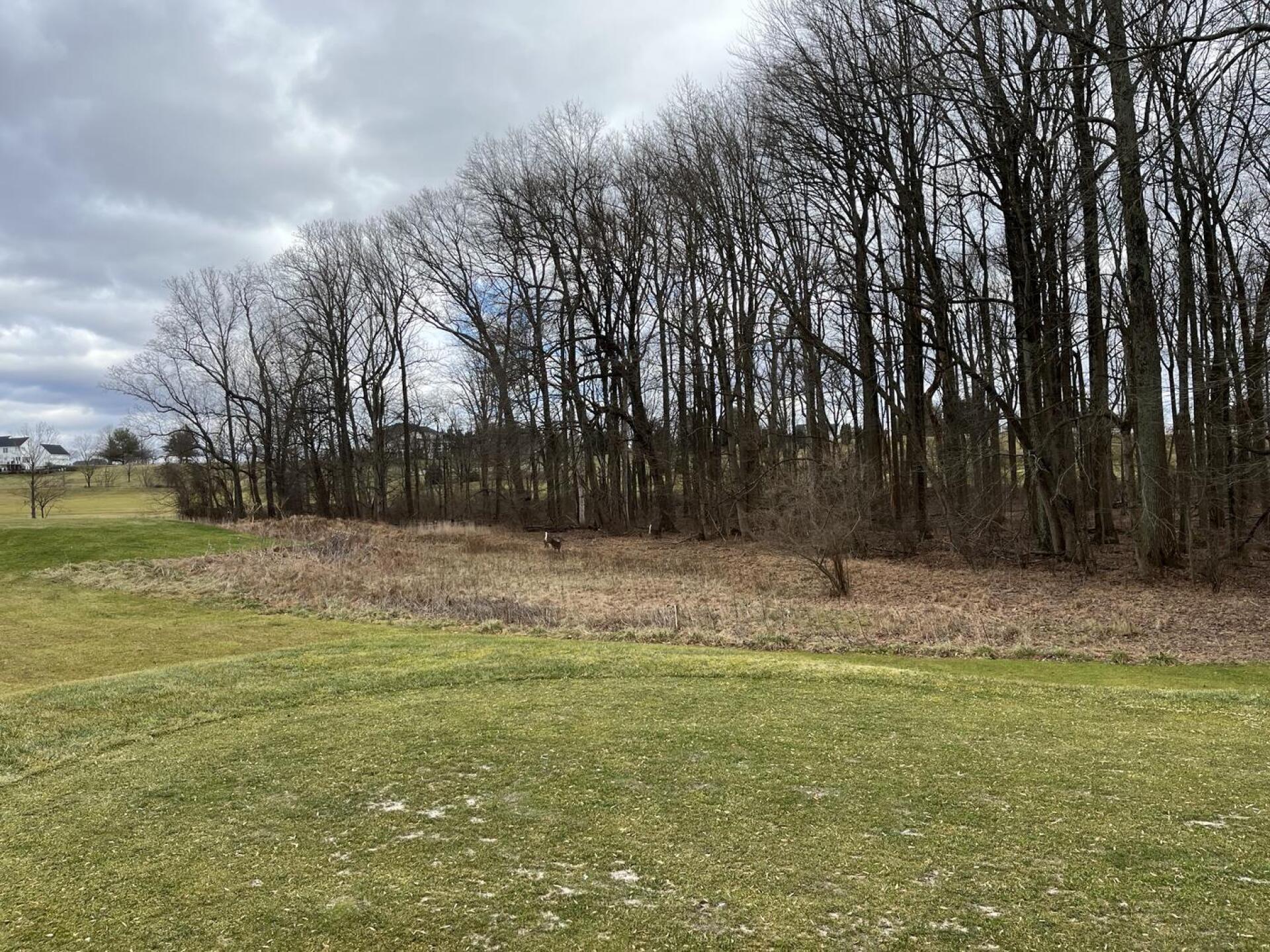 (Photo submitted by u314164425719 on 01/31/2024)