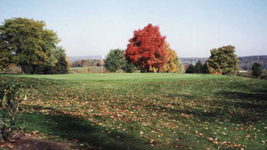 The CC: #7