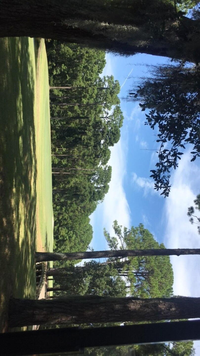 (Photo submitted by tryden12 on 08/02/2019)