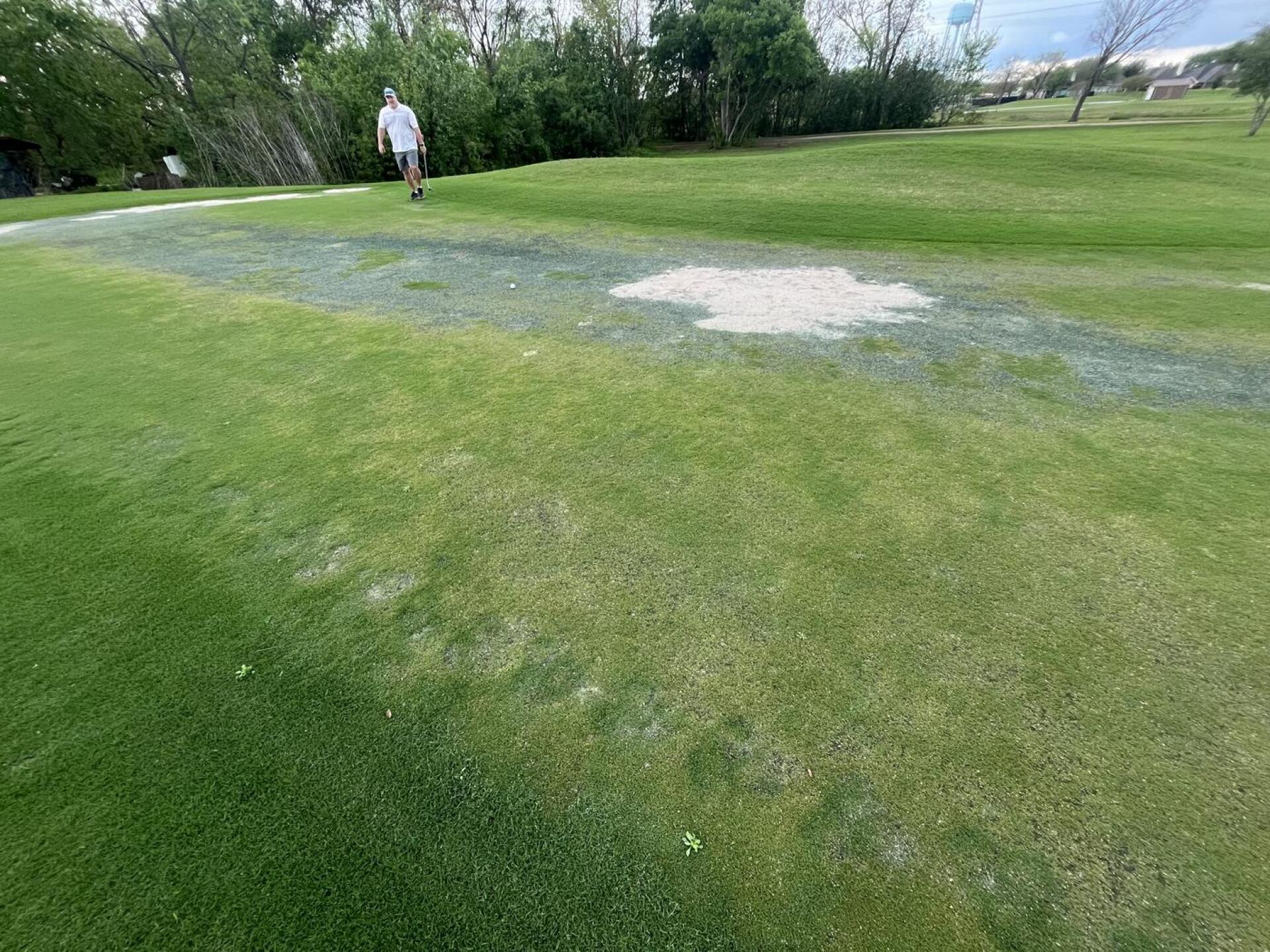 (Photo submitted by u215505674 on 03/20/2024)