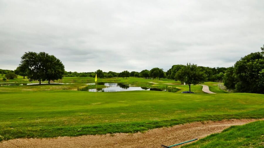 Wildflower CC: #16