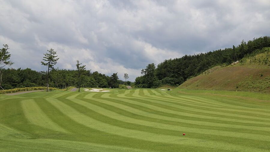 Sacheon CC - Dragon: #1