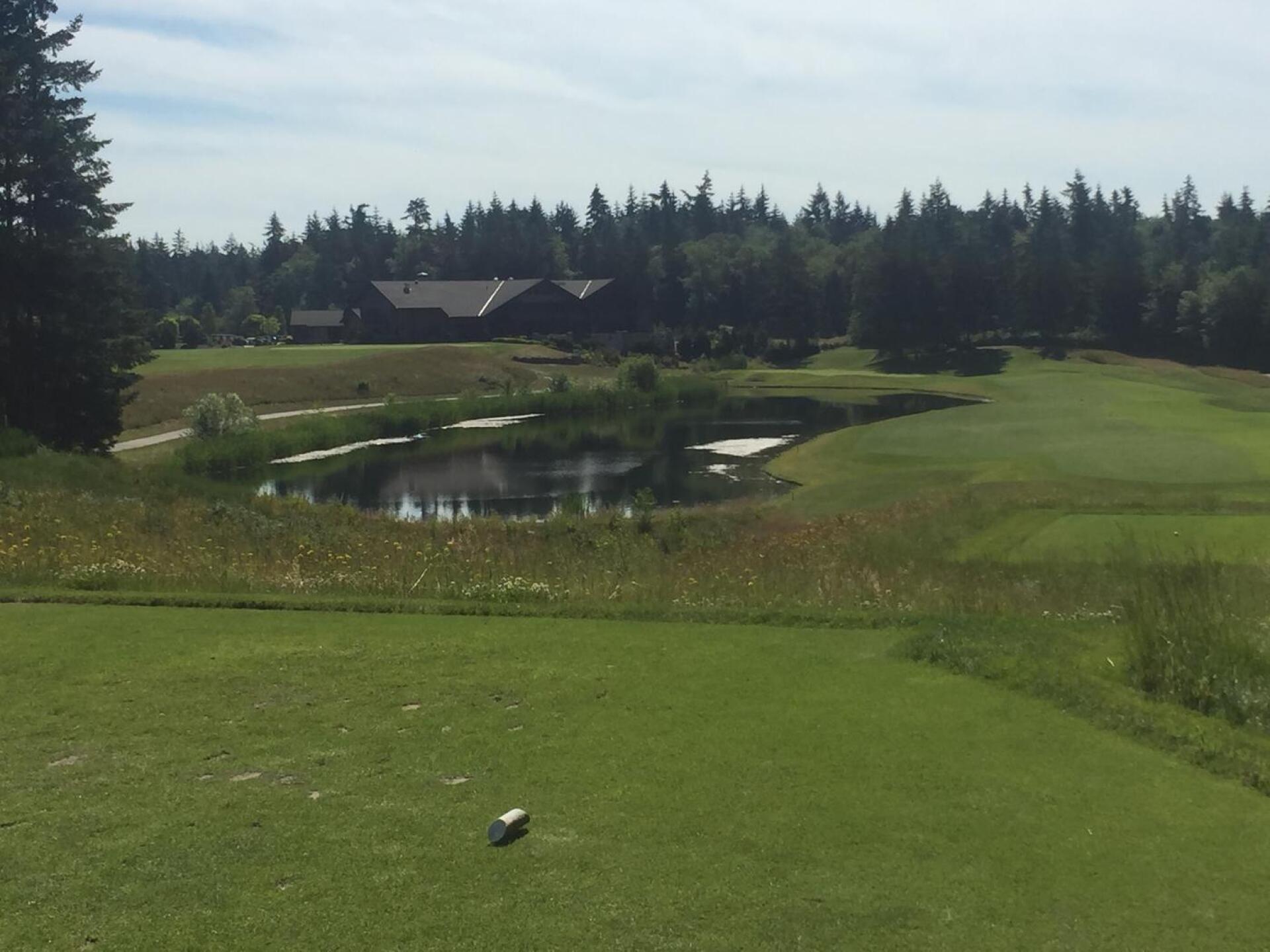 on tee of 9th hole (Photo submitted by larryreedy on 06/19/2018)