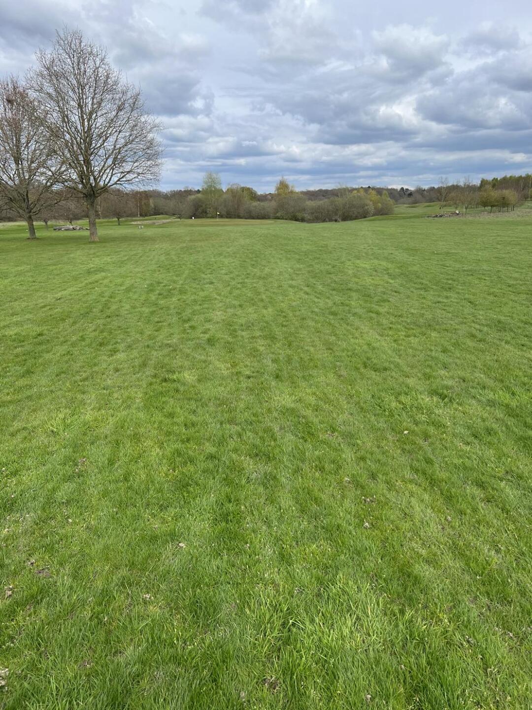 (Photo submitted by u110273512 on 04/17/2023)