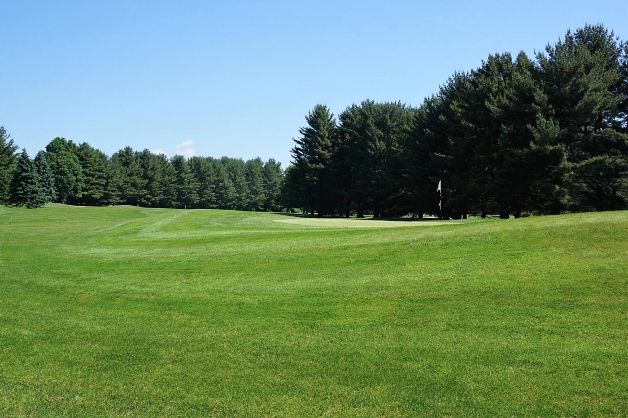 The long second hole, a par-4 which doglegs left to reach this raised green, measures 439 yards from the blue tees. (Photo submitted by AptlyLinked on 06/05/2022)