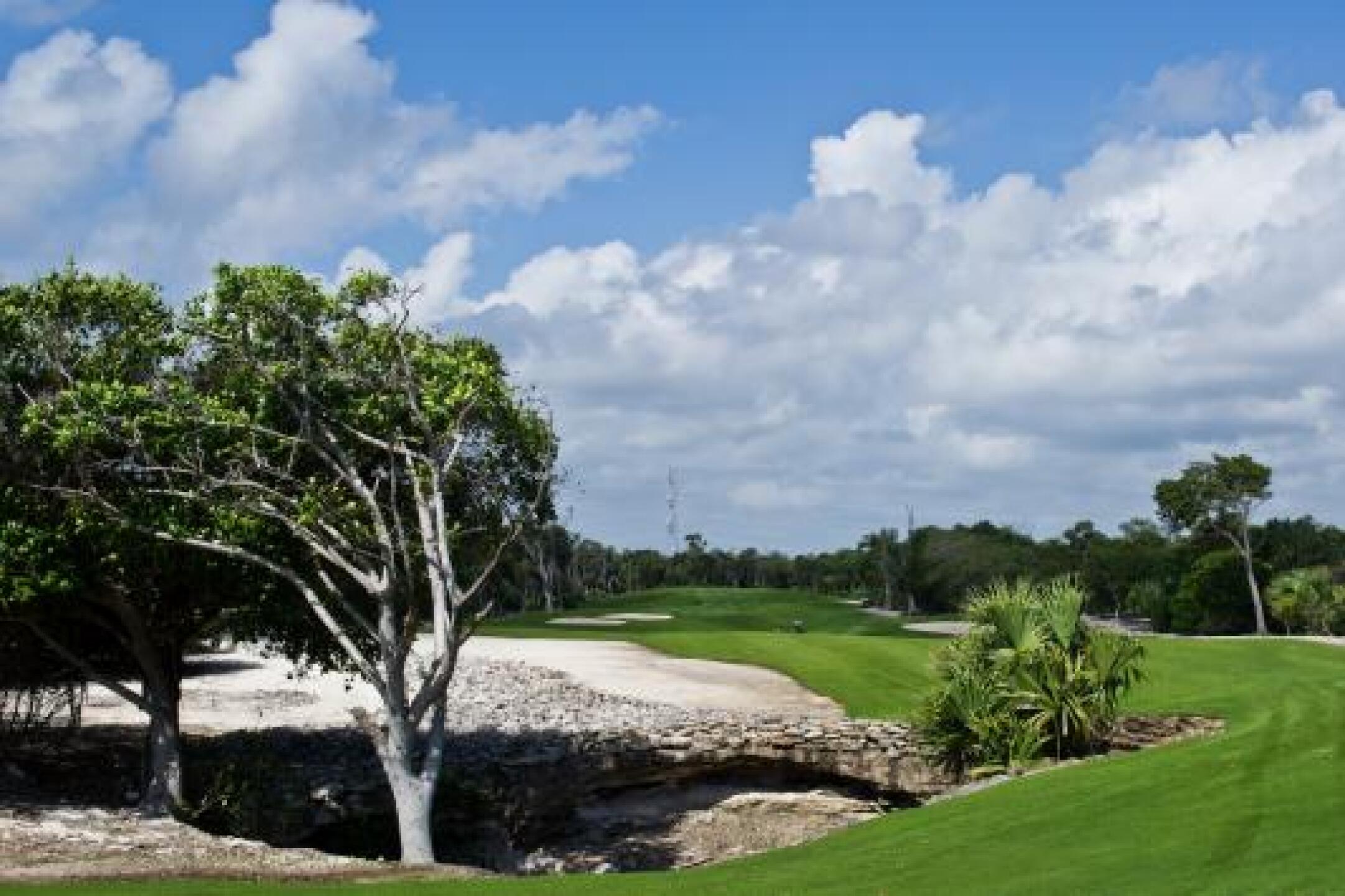 (Photo submitted by Matthew2277308 on 02/14/2013)