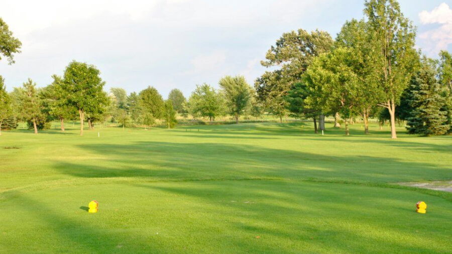 Twin Oaks CC