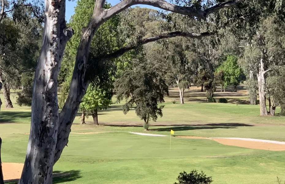 Corowa Golf Club - 1-18 Course: #18