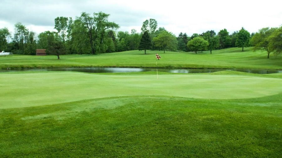 Bonnie View GC