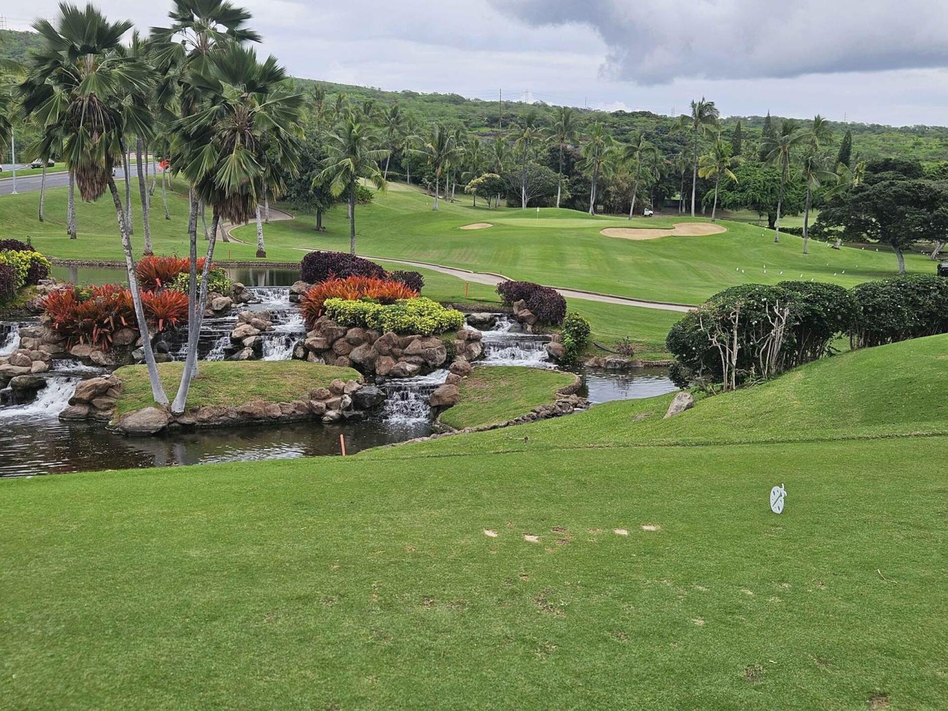 12th tee (Photo submitted by u314161622535 on 01/26/2026)