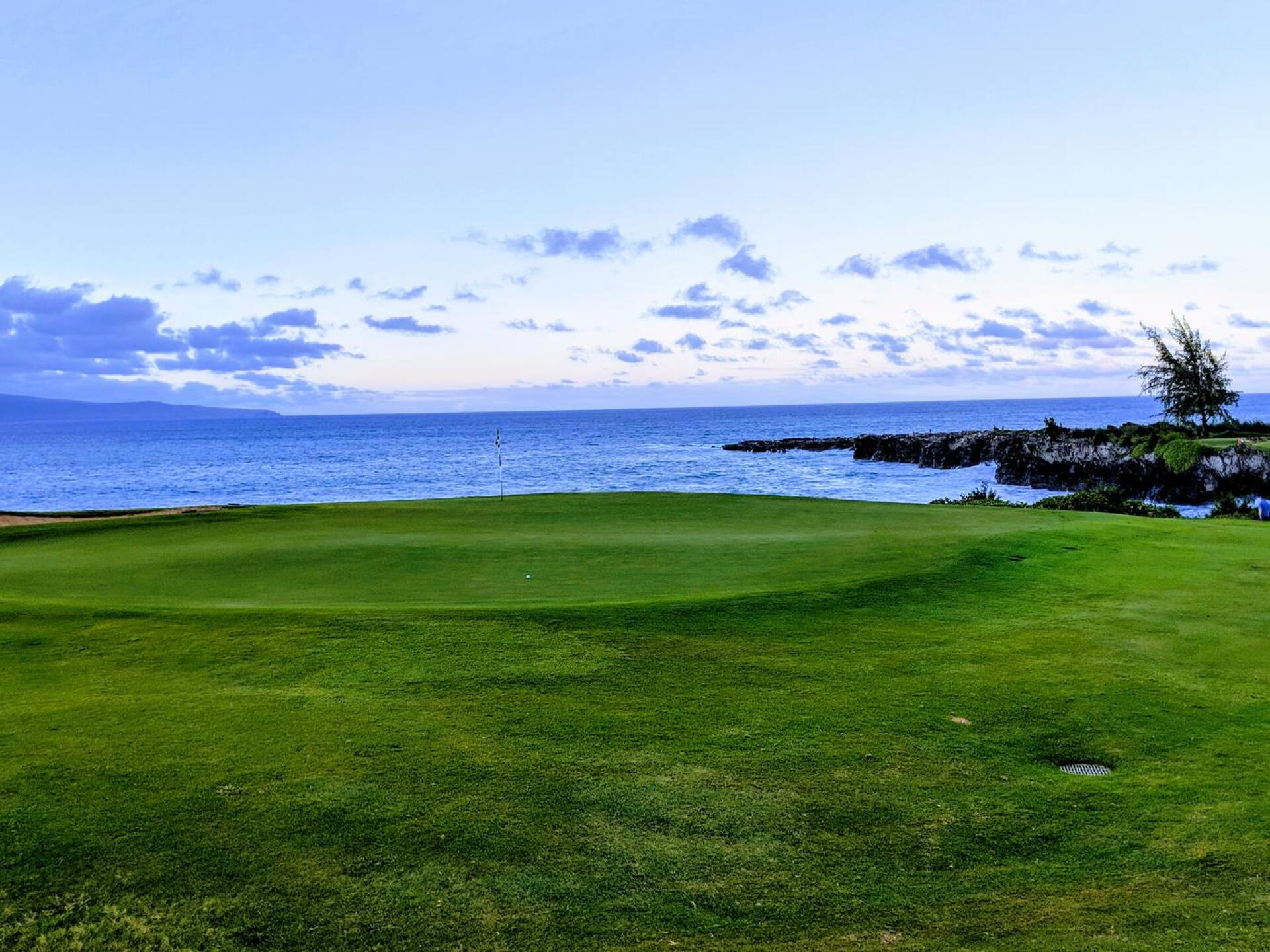 (Photo submitted by Snaphook417 on 01/28/2020)