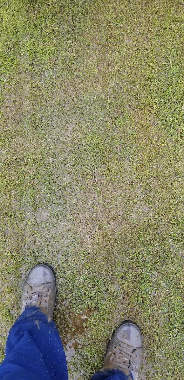 (Photo submitted by Pingman4444 on 05/02/2019)