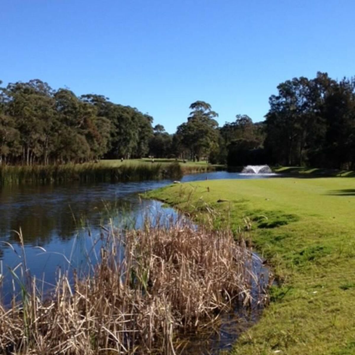 Breakers Country Club in Terrigal, Central Coast, Australia GolfPass