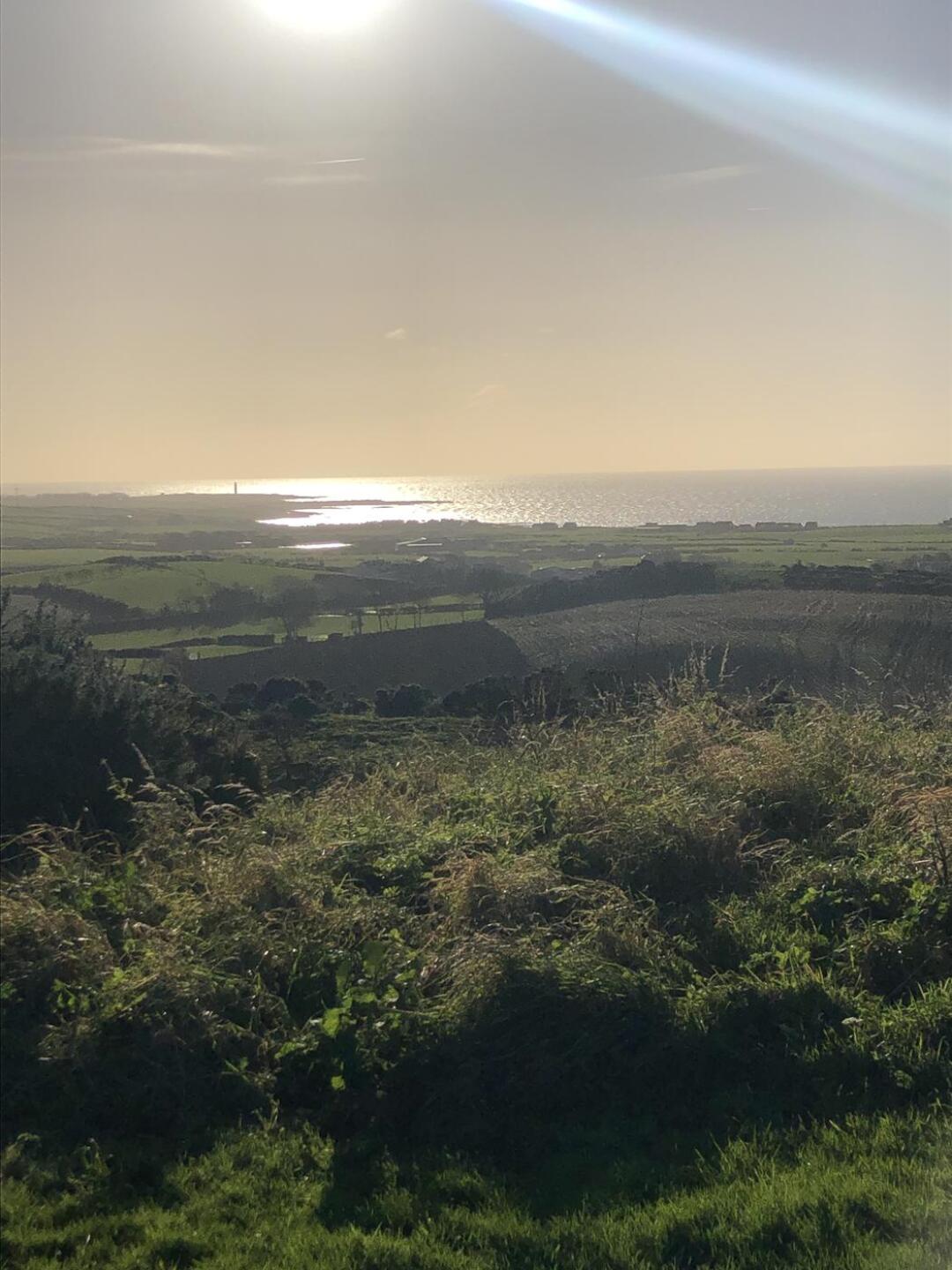 (Photo submitted by Gvmufc on 11/15/2023)