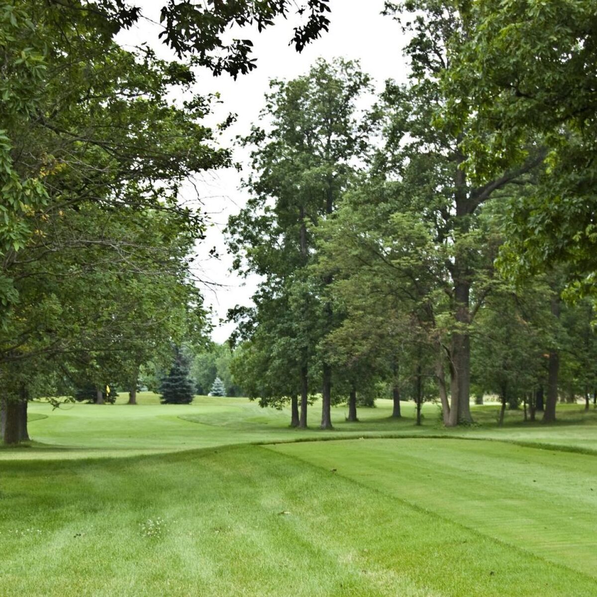 Regulation at Hawthorne Hills Golf Course in Lima, Ohio, USA GolfPass
