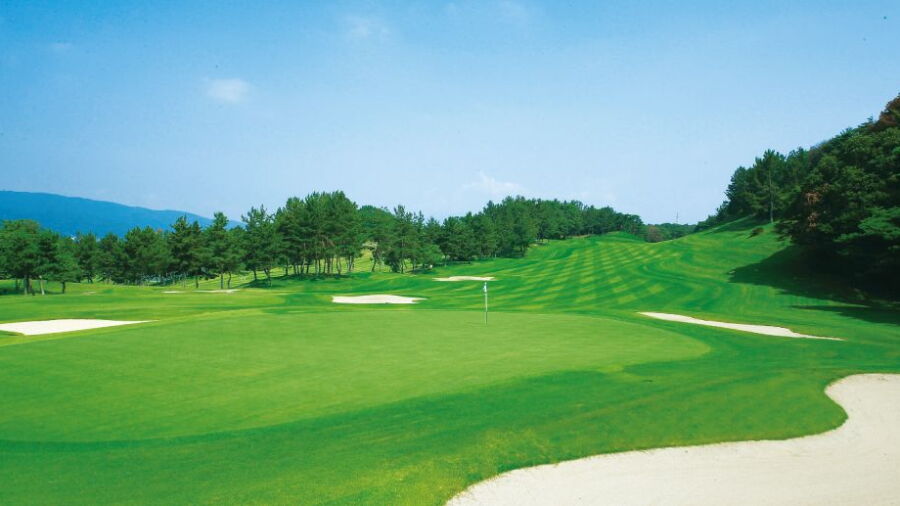 Seta GC - North: #18