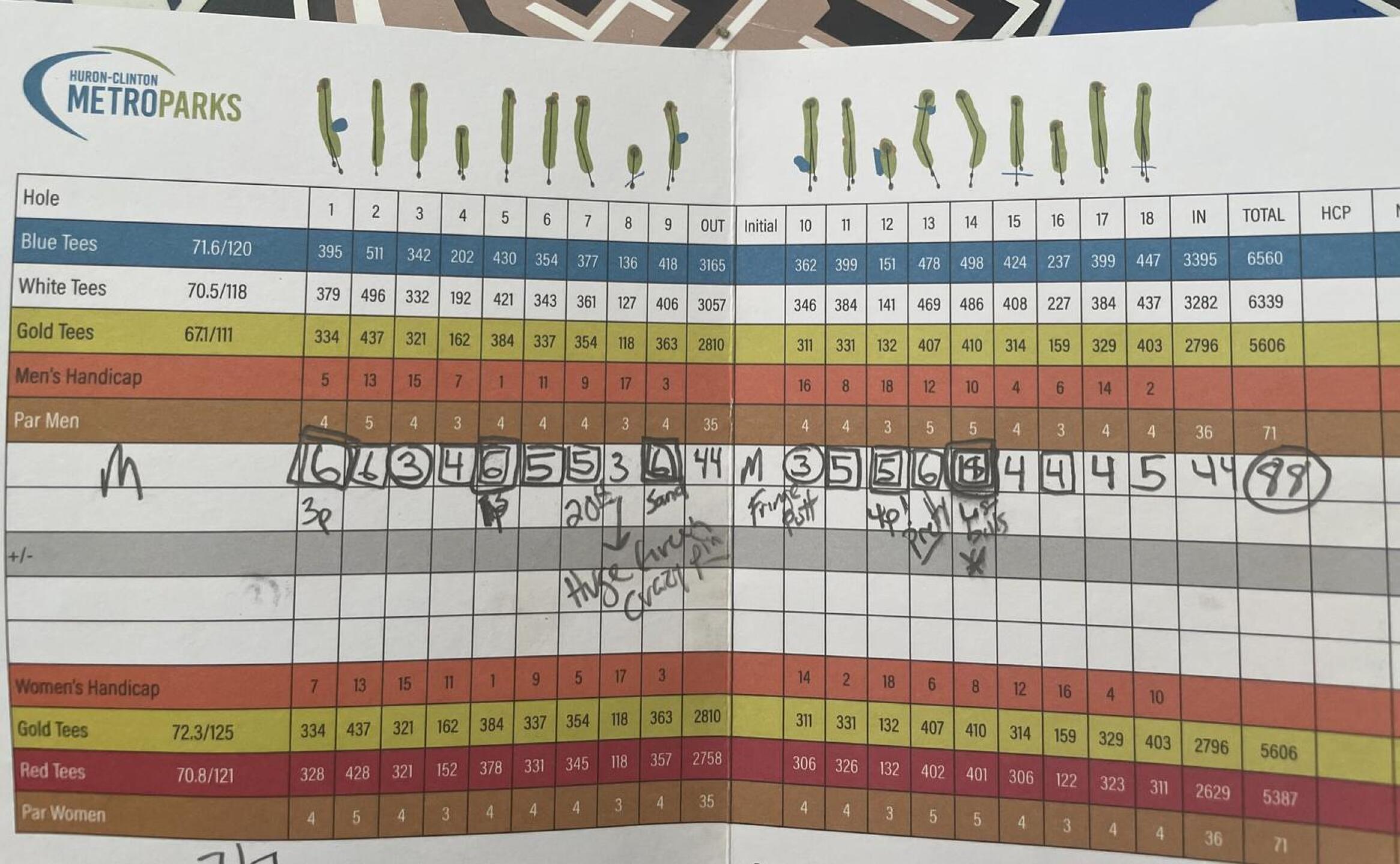 (Photo submitted by MiggyTG5 on 07/08/2021)