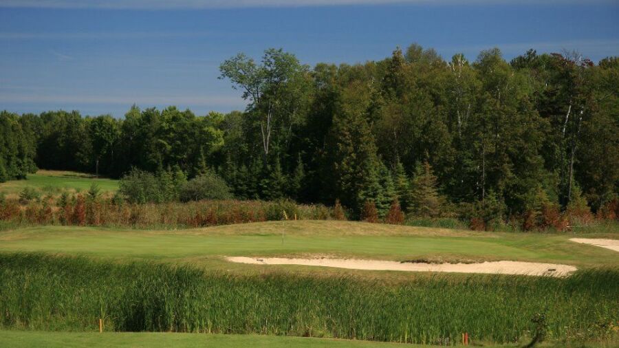 Rock At Drummond Island