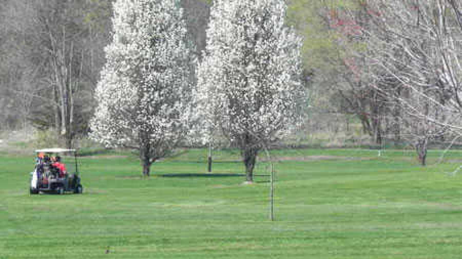 Valley View GC