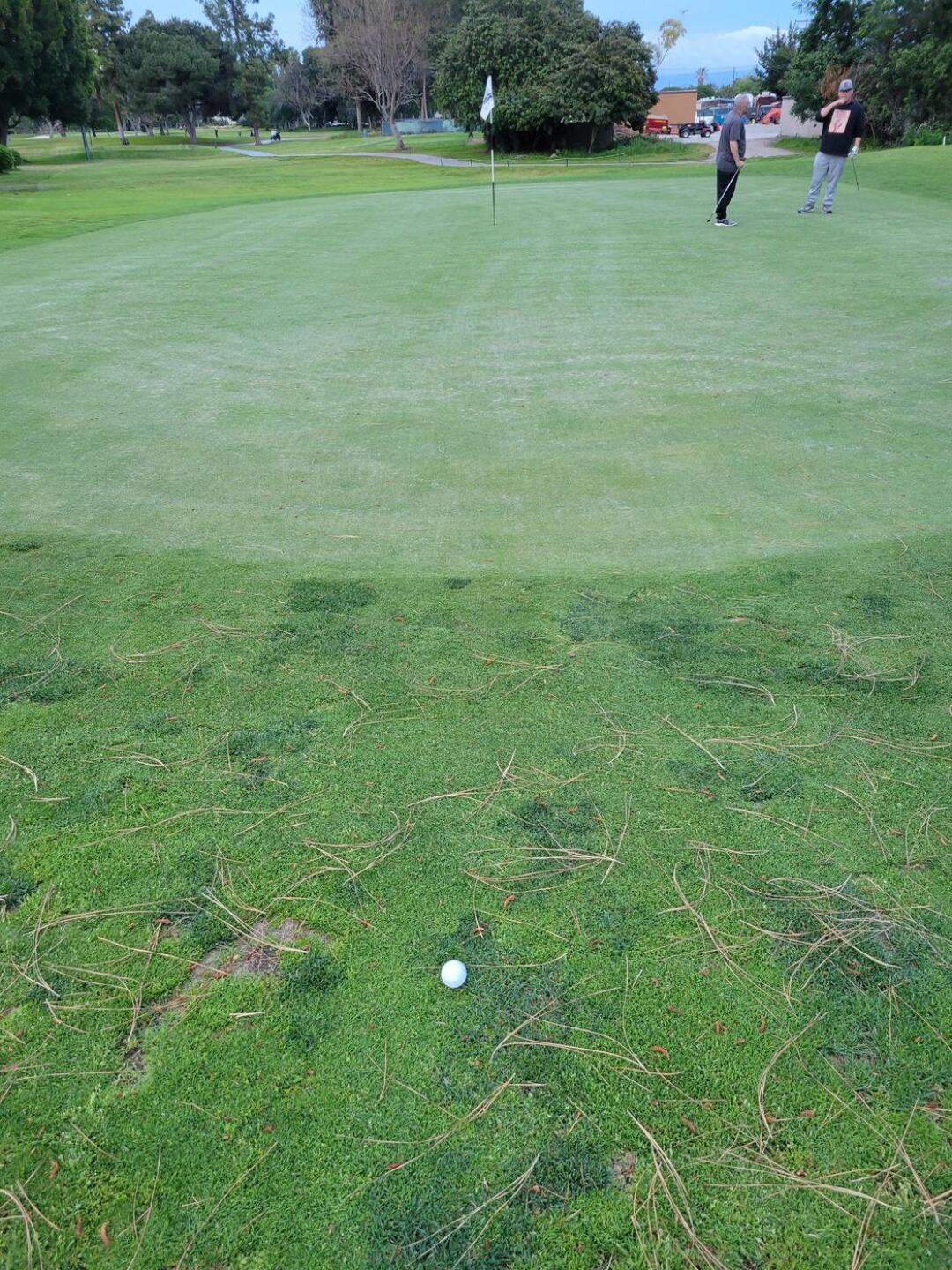 Dad Miller Golf Course in Anaheim, California, USA | GolfPass