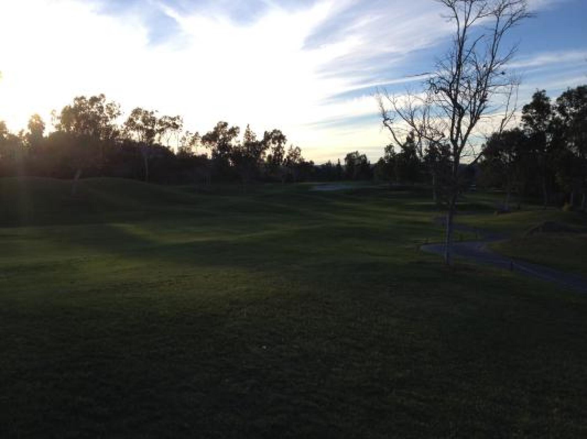 (Photo submitted by Sm00veCr1m1nal on 11/18/2013)