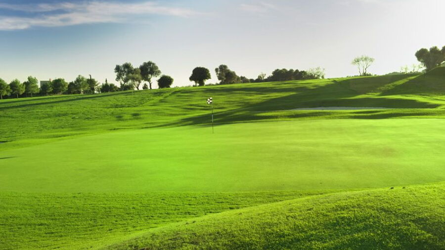 Vall d'Or GC: #13