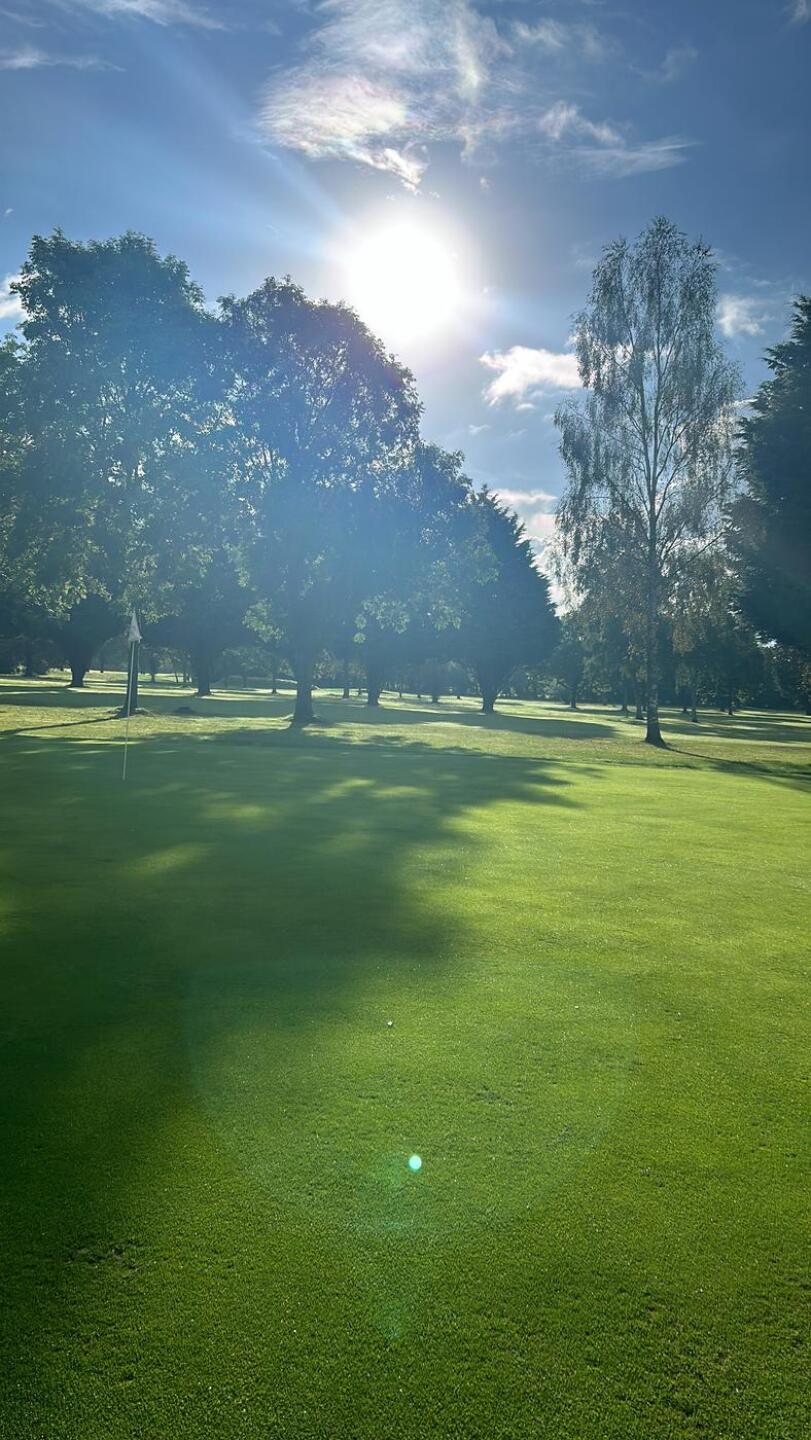 (Photo submitted by Boysie24 on 09/08/2024)