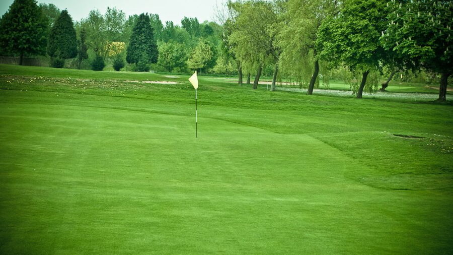 Barnsley GC: #14