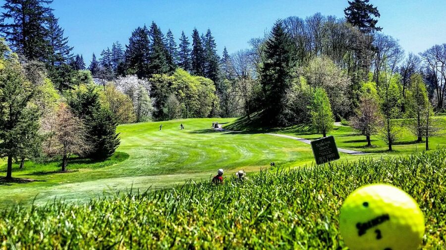 Mint Valley GC