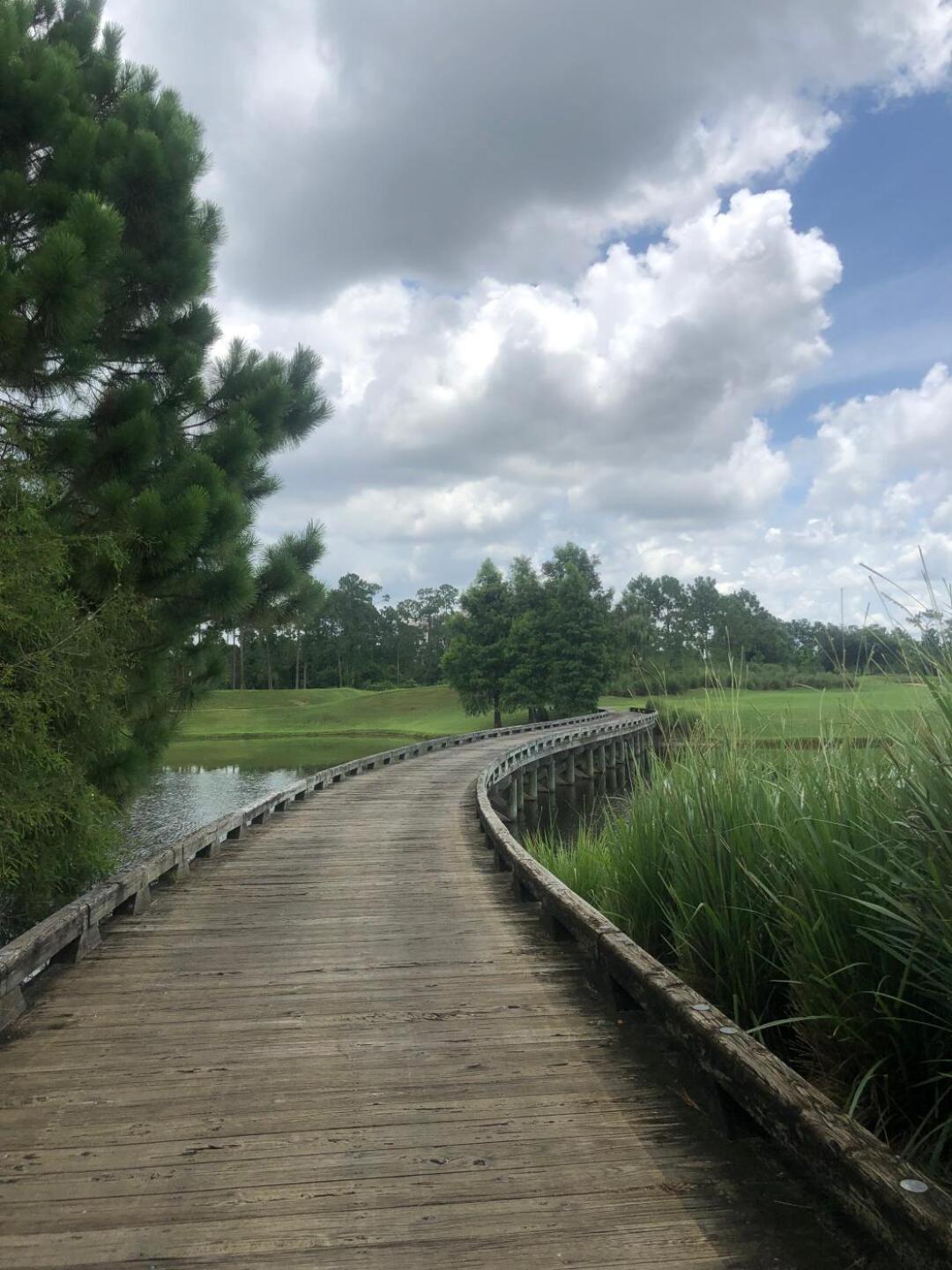 (Photo submitted by Jelly6911 on 07/20/2019)